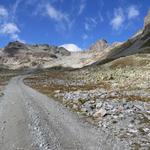 bei der Chamanna Saluver 2633 m.ü.M. biegen wir rechtshaltend von der Alpstrasse weg