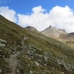 am Fuss des Piz Saluver zieht sich der Wanderweg in die Höhe