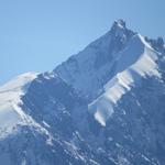 Piz Bernina mit Biancograt herangezoomt