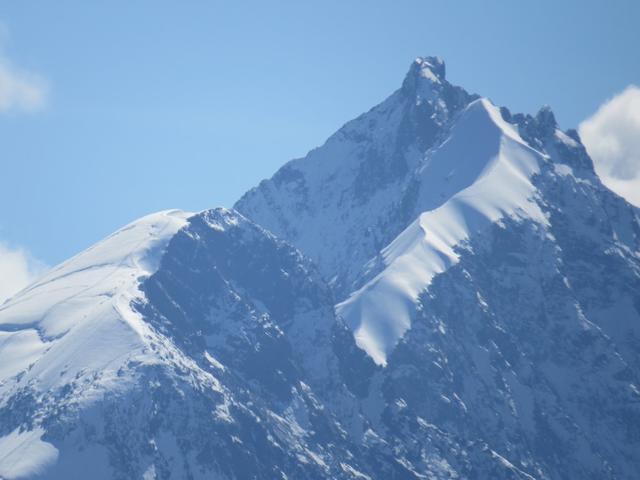 Piz Bernina mit Biancograt herangezoomt