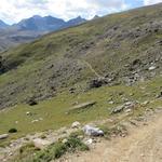 auf der Via Engiadina wandern wir nun gemütlich über Blumenwiesen Richtung Marguns