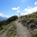 nach dem überqueren des Bergbaches erreichen wir die Weggabelung 2424 m.ü.M., wo wir weiter geradeaus wandern