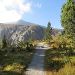 kurz nach der Sendeanlage erreichen wir eine Weggabelung, wo rechts der Wanderweg Richtung Il Jalet abbiegt