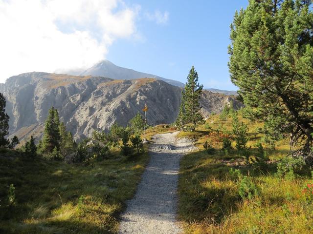 kurz nach der Sendeanlage erreichen wir eine Weggabelung, wo rechts der Wanderweg Richtung Il Jalet abbiegt