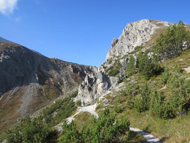 über den einfachen Wanderweg der sich nun leicht senkt, wandern wir geradeaus weiter