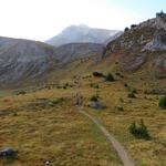 über Alpweiden führt uns der weiterhin einfache Wanderweg an der Erhebung 2337 m.ü.M. vorbei