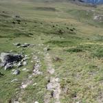 ...wandern wir durch die Südwestflanke hinunter ins Val Mora