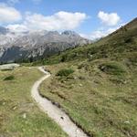 wir laufen an der Erhebung von Döss da las Plattas 2296 m.ü.M. rechts vorbei...