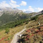 ...wandern wir geradeaus weiter in Val Murtaröl