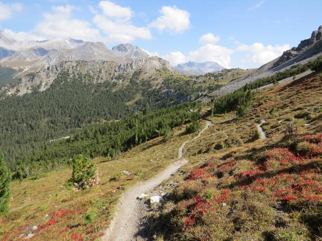 ...wandern wir geradeaus weiter in Val Murtaröl