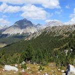 sehr schönes Breitbildfoto aufgenommen beim Val Murtaröl, mit Blick zum Piz Nair