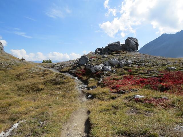 der Wanderweg ist immer gut ersichtlich und nicht wirklich herausfordernd