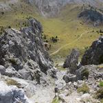 wir blicken hinunter zum Wanderweg der vom Ofenpass hinaufzieht und links auf den Piz Daint führt