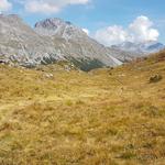 auf dem Weg Richtung Ofenpass