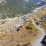 wir verlassen die Hochebene und wandern nun abwärts Richtung Ofenpass