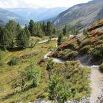 diese Gegend ist einfach wunderschön