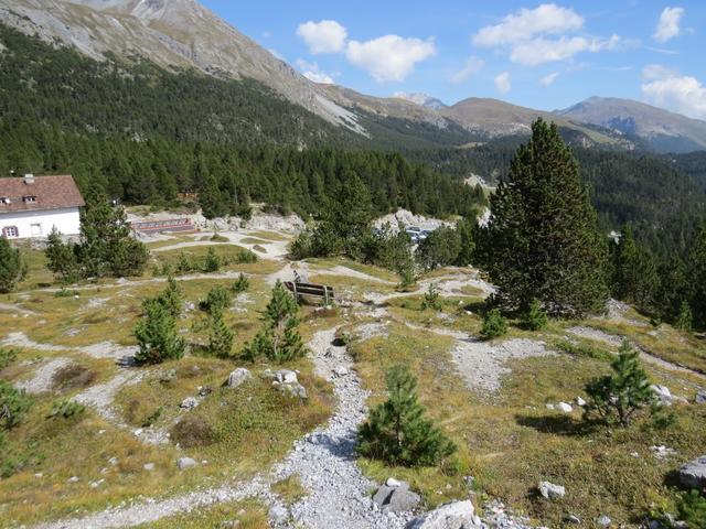 ...erreichen wir den Ofenpass. Eine sehr schöne Bergtour geht zu Ende