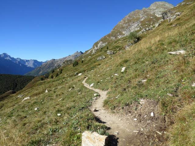 bei Plan di Zoch stossen wir auf die Via Engiadina und gleichzeitig auf eine Weggabelung 1944 m.ü.M.