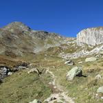 der Weg schlängelt sich durch die Wiesen aufwärts