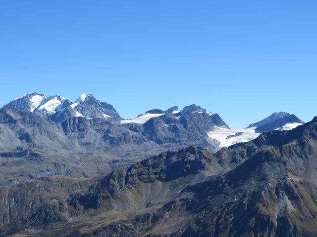 Blick Richtung Piz Bernina mit Biancograt, Piz Scerscen, Piz Roseg, Piz Glüschaint mit Vadret dal Tremoggia