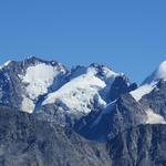 Piz Bernina mit Biancograt, Piz Scerscen und Piz Roseg herangezoomt