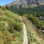 wir wandern geradeaus weiter