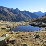 auffallend die Gletscherschliffe und die vielen Seen und Tümpel