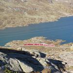 entlang dem Lago Bianco fährt ein Zug der Rhätischen Bahn Richtung Alp Grüm und Poschiavo