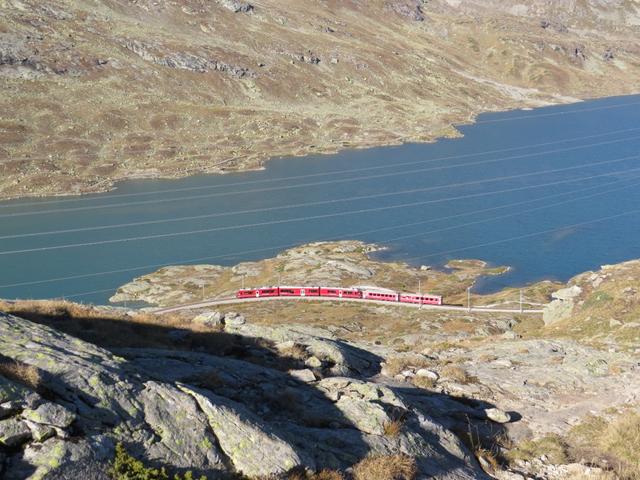 entlang dem Lago Bianco fährt ein Zug der Rhätischen Bahn Richtung Alp Grüm und Poschiavo