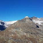 Blick auf Piz Varuna, Vadret da Palü, Piz Palü, Sassal Mason und Piz Cambrena