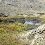 der Wanderweg führt uns wieder zwischen den zwei kleinen Seelein hindurch 2319 m.ü.M.