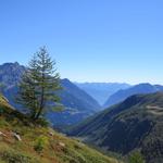 während dem Wandern, blicken wir tief ins Val Poschiavo...