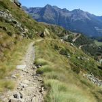 ...zu einer Spitzkehre Richtung Alp Grüm und nicht zum Gletscher hin