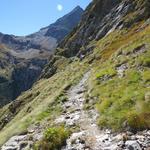 der einfache Wanderweg mutiert zu einem schmalen Bergweg