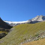 Blick über die Moränenkante hinauf zum Palügletscher