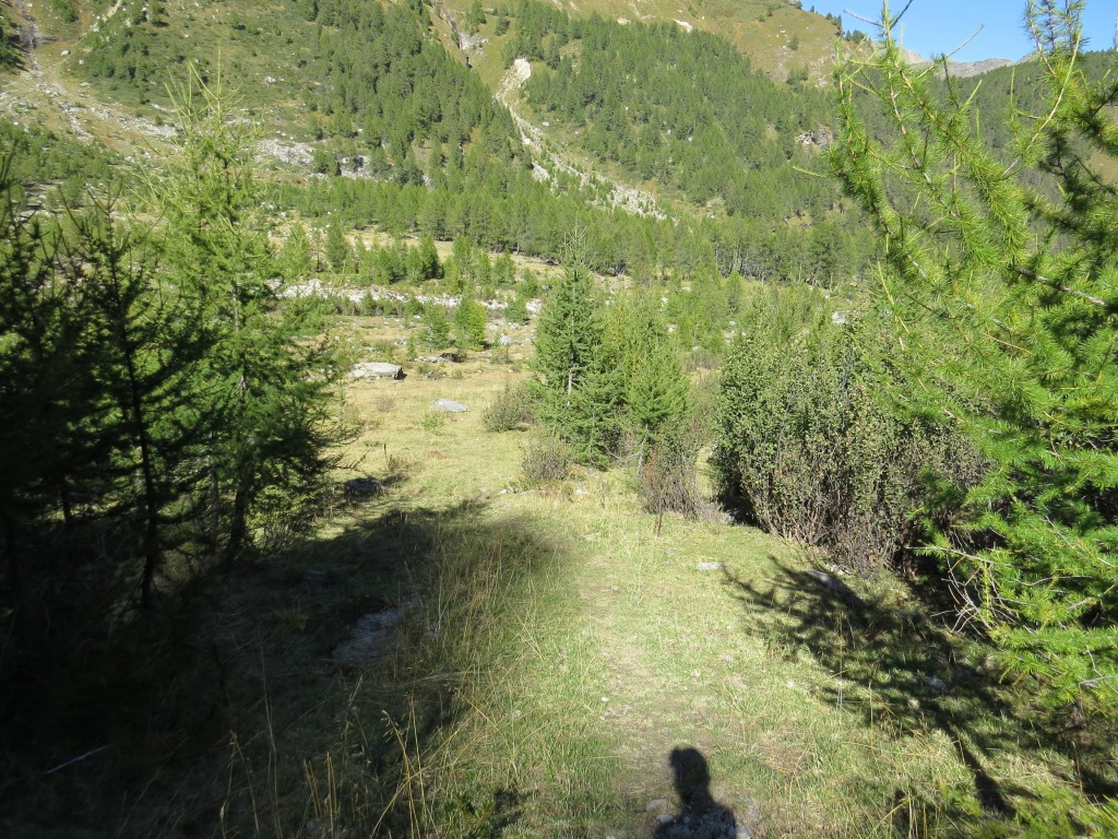 wir sind froh bei der Alp Palü den Talboden zu erreichen und der hinter uns liegende unschöne Teilabschnitt überwunden zu hab