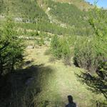wir sind froh bei der Alp Palü den Talboden zu erreichen und der hinter uns liegende unschöne Teilabschnitt überwunden zu hab
