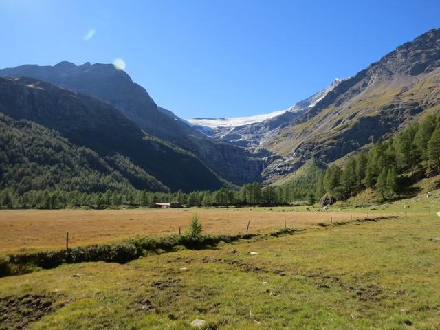 der Blick von hier in das Talende und auf den Palügletscher ist nochmals beeindruckend schön