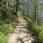 hier biegen nochmals links ab und wandern nun aufwärts Richtung Alp Grüm