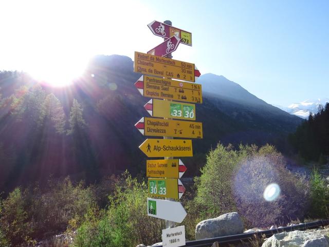 kurz danach stehen wir beim Wegweiser bei der Bahnstation Morteratsch 1896 m.ü.M. der Rhätischen Bahn