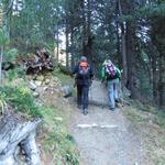 am Taleingang des Val Morteratsch führt uns der Weg zuerst durch ein Wäldchen