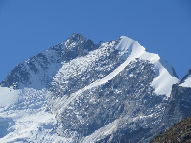 Blick auf Bernina-Ostgrat, Piz Bernina, Piz Bianco und Biancograt