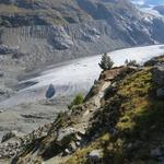 bei den Kurven vom Chamin schauen wir hinunter zum Wanderweg...