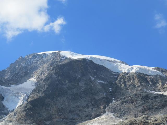 Blick auf Piz Morteratsch