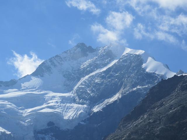 Blick auf Bernina-Ostgrat, Piz Bernina, Piz Bianco und Biancograt
