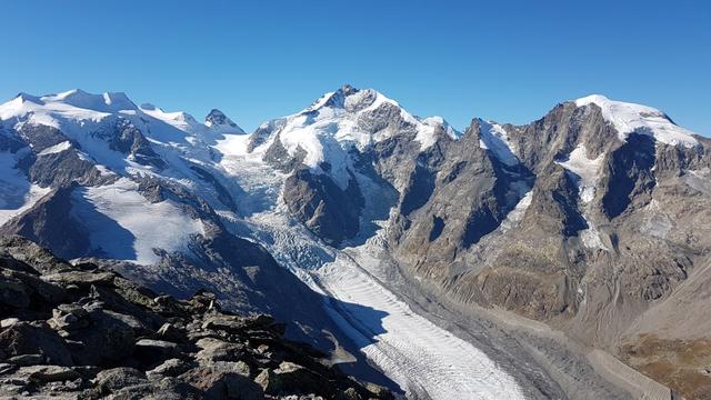 Bellavista, Crast'Agüzza, Piz Bernina und Piz Morteratsch. Traumhaft schön