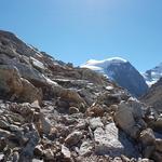 Piz Cambrena, Piz Palü-Ostgipfel und Piz Trovat und schauen zwischen dem Geröll hervor