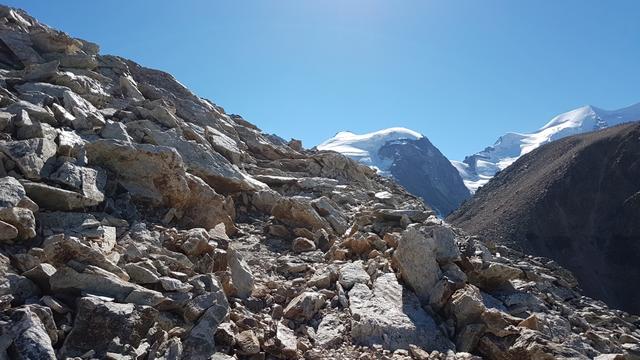 Piz Cambrena, Piz Palü-Ostgipfel und Piz Trovat und schauen zwischen dem Geröll hervor