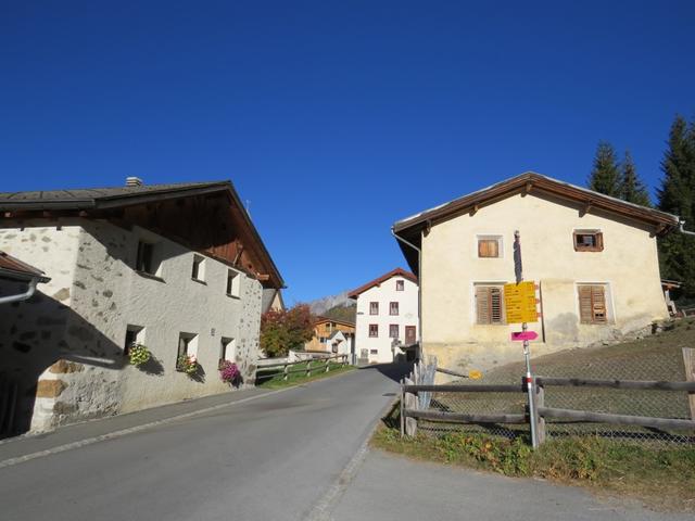 mit dem Auto bis nach Lü 1916 m.ü.M. im Val Müstair.