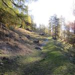 der Wanderweg führt uns zuerst über die Weiden oberhalb von Lü,...